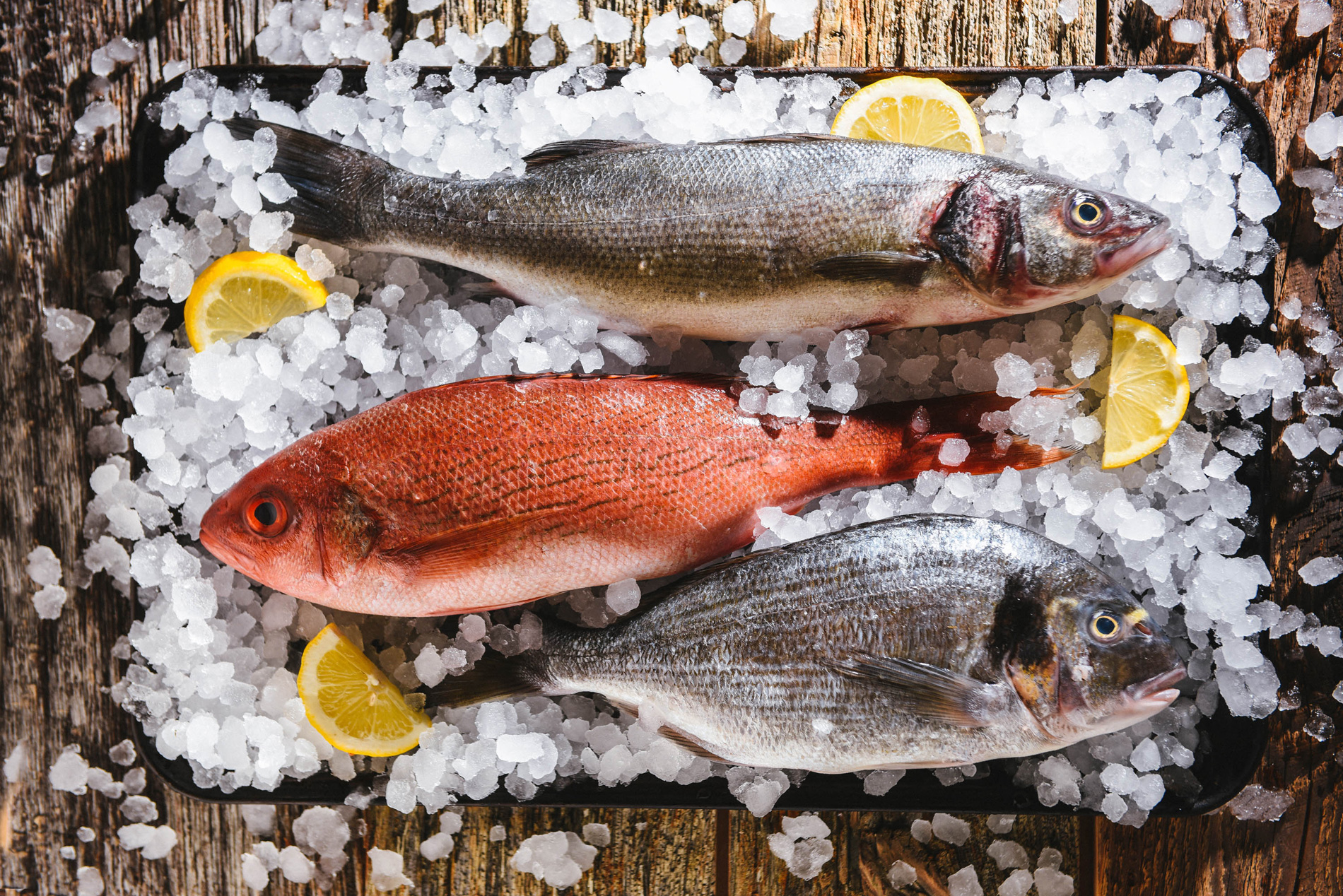 Image result for fish market